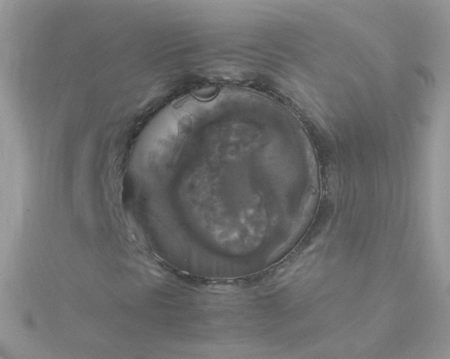 X0000115661297200911251701