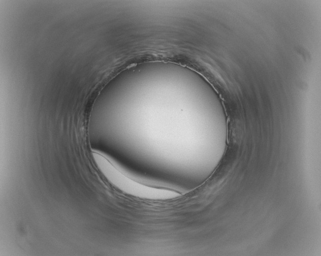 X0000115661298200911251701