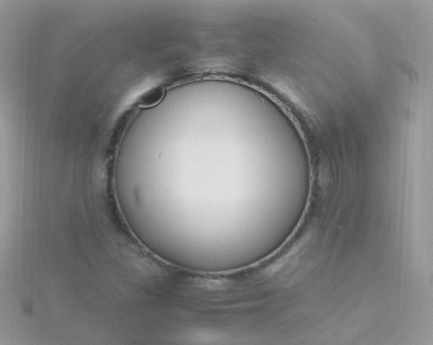 X0000115661309200911251701