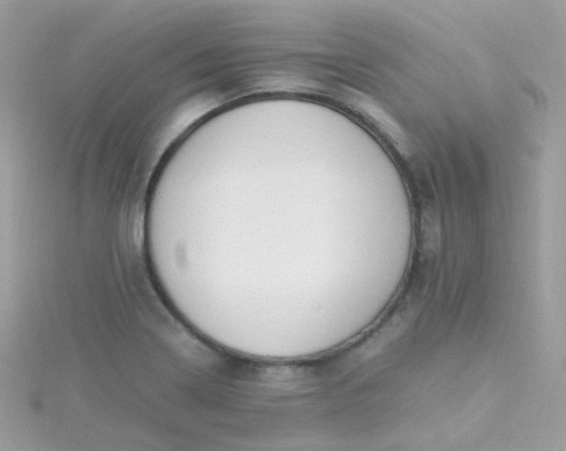 X0000115661322200911251701