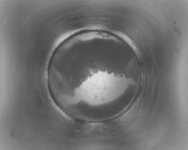 X0000115661335200911251701