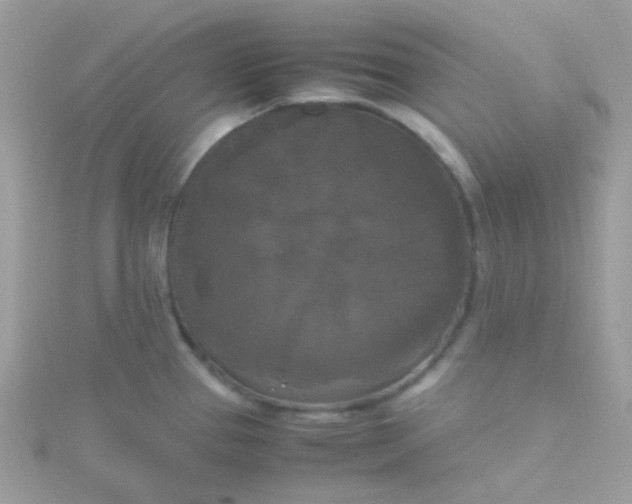 X0000115661337200911251702