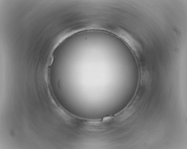 X0000115661342200911251702