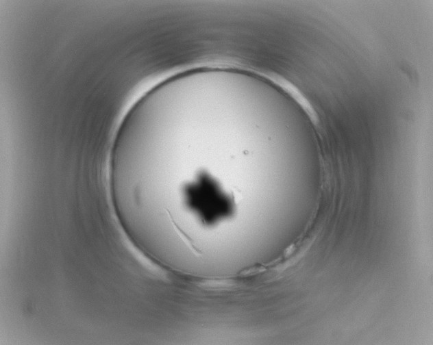 X0000115661343200911251702