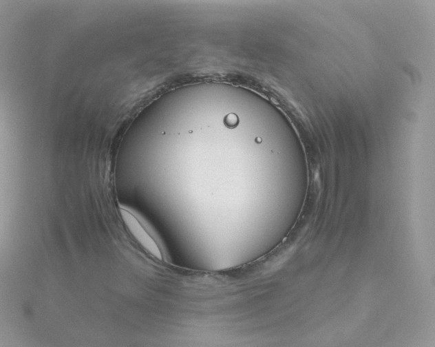 X0000115661348200911251701