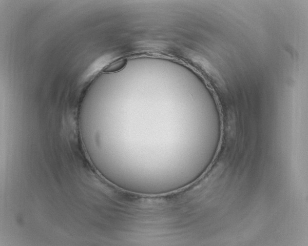 X0000115661354200911251701