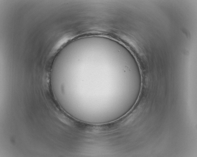 X0000115661355200911251701