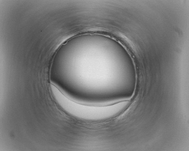 X0000115661361200911251701