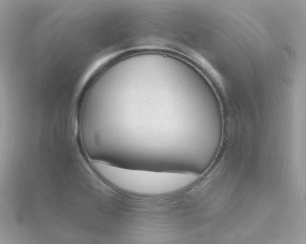 X0000115661368200911251701
