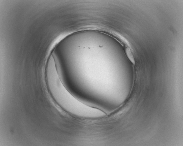 X0000115661373200911251701