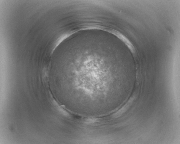 X0000115661385200911251700