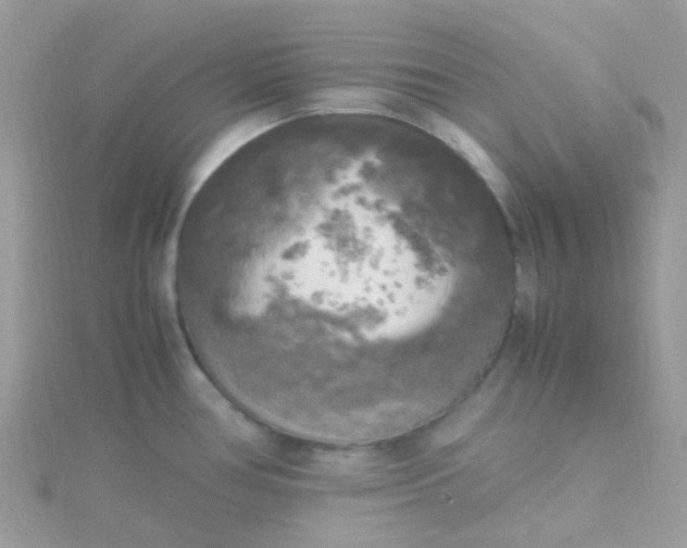 X0000115661386200911251700