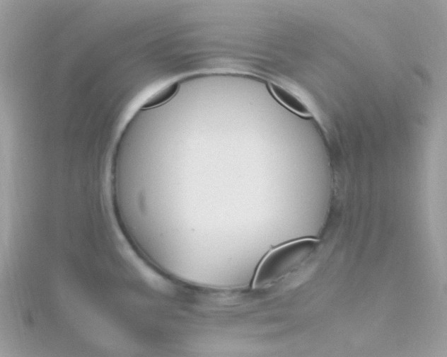 X0000115661387200911251700