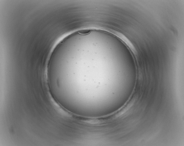 X0000115661388200911251700