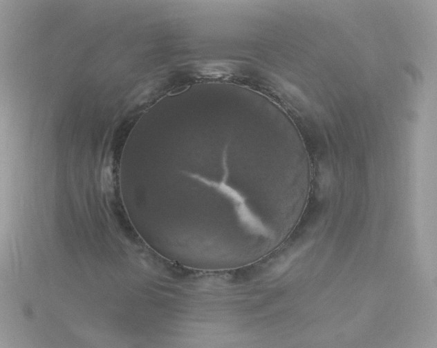 X0000115661394200911251659