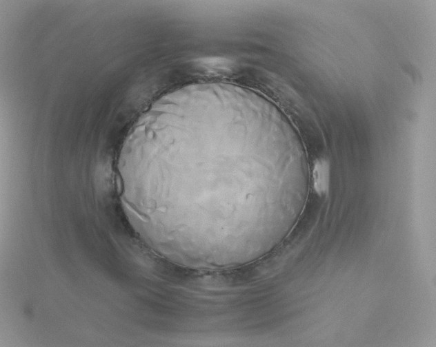 X0000115661395200911251659