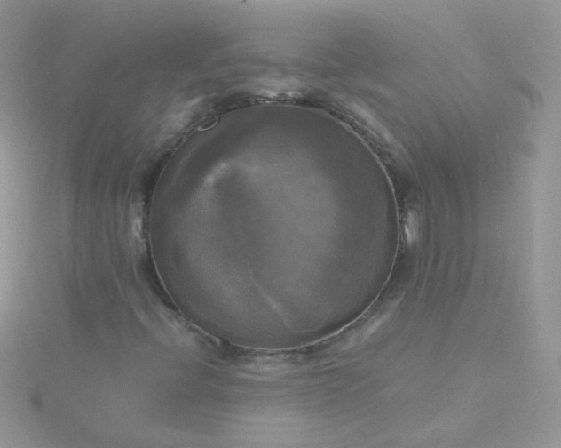 X0000115661396200911251659