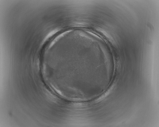 X0000115661402200911251659