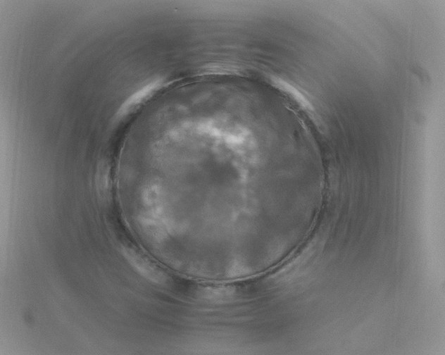 X0000115661403200911251659