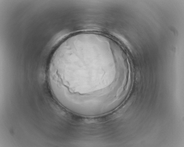 X0000115661407200911251659