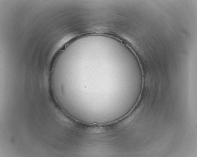 X0000115661410200911251700