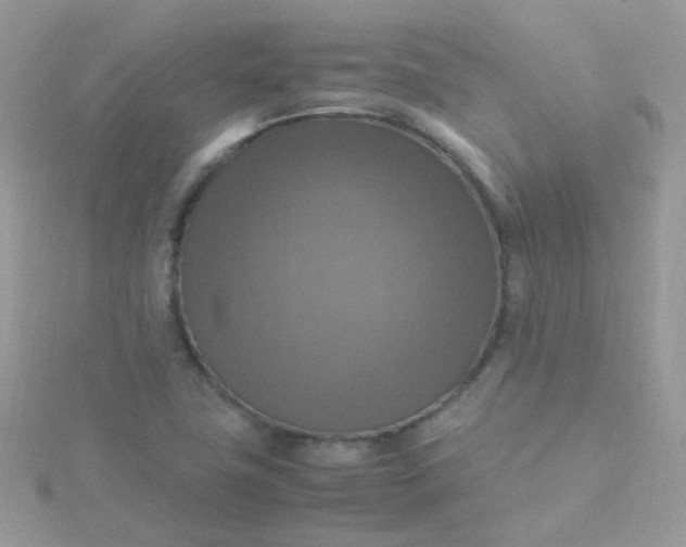 X0000115661411200911251700