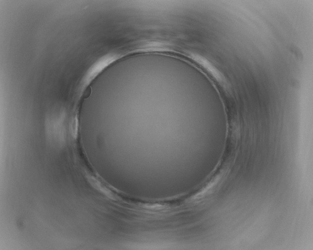 X0000115661413200911251700