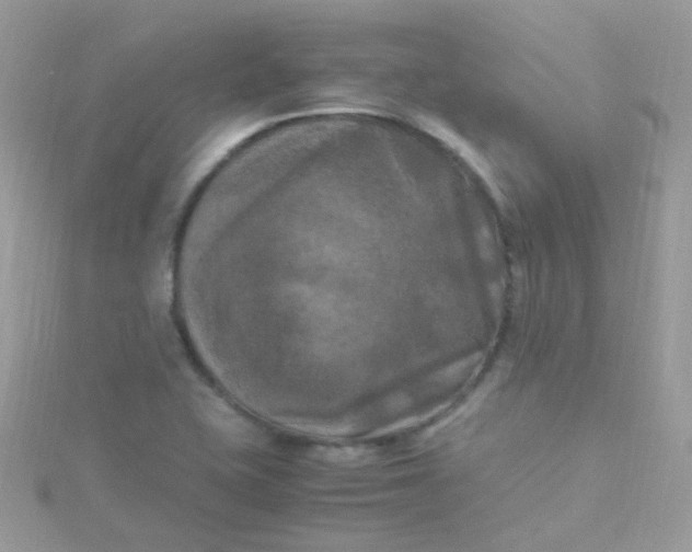 X0000115661415200911251700