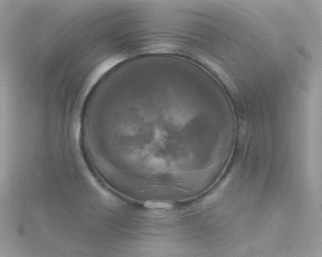 X0000115661418200911251700