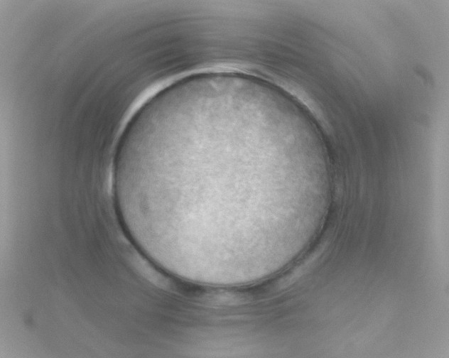 X0000115661420200911251700
