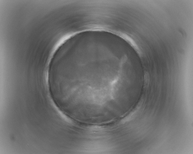 X0000115661424200911251700