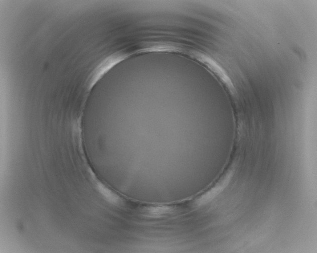 X0000115661425200911251700
