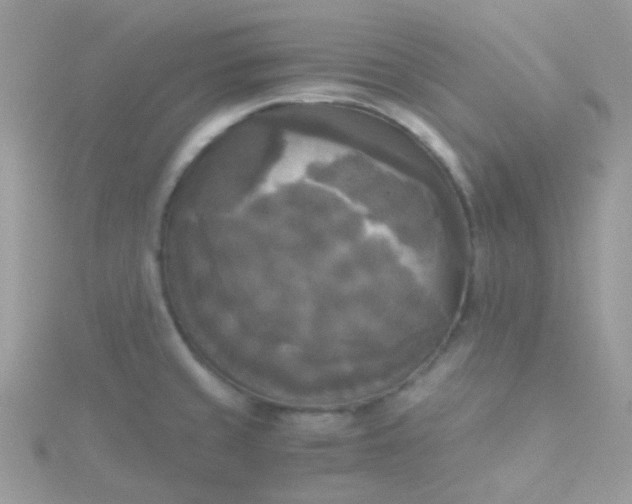 X0000115661429200911251700