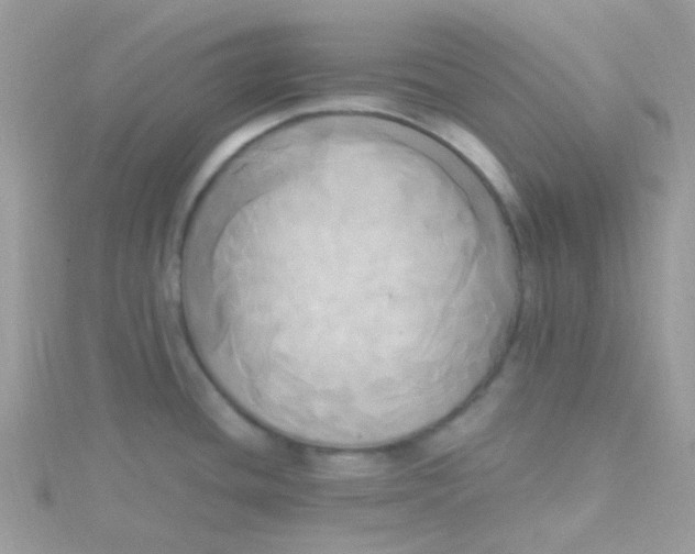X0000115661436200911251700