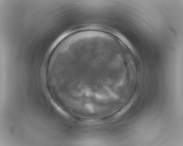 X0000115661438200911251700