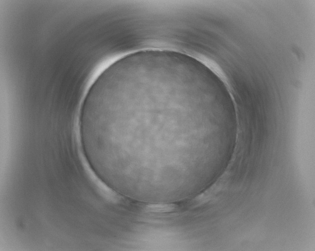 X0000115661440200911251700