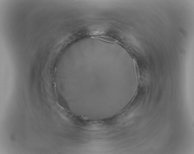 X0000115661441200911251659