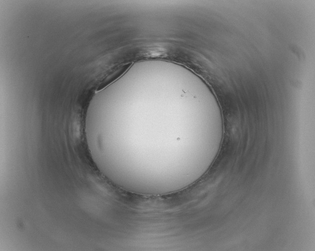 X0000115661442200911251659