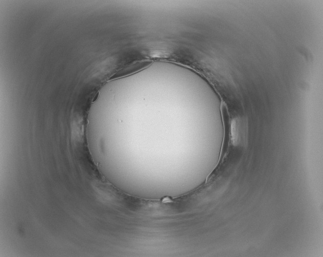 X0000115661443200911251659