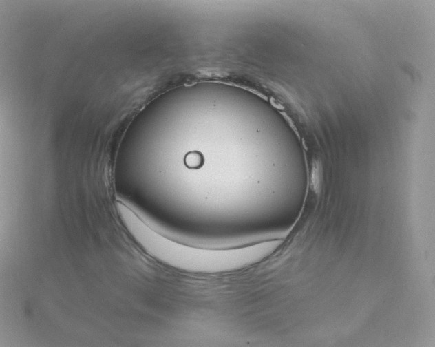 X0000115661444200911251659