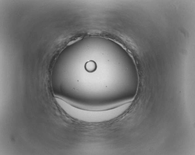X0000115661445200911251659