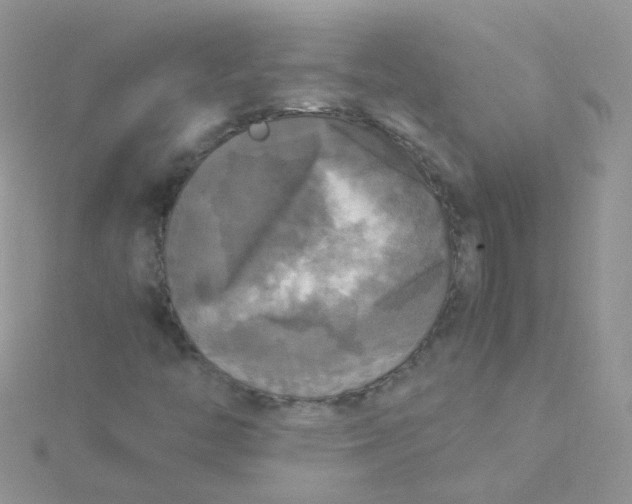 X0000115661446200911251659