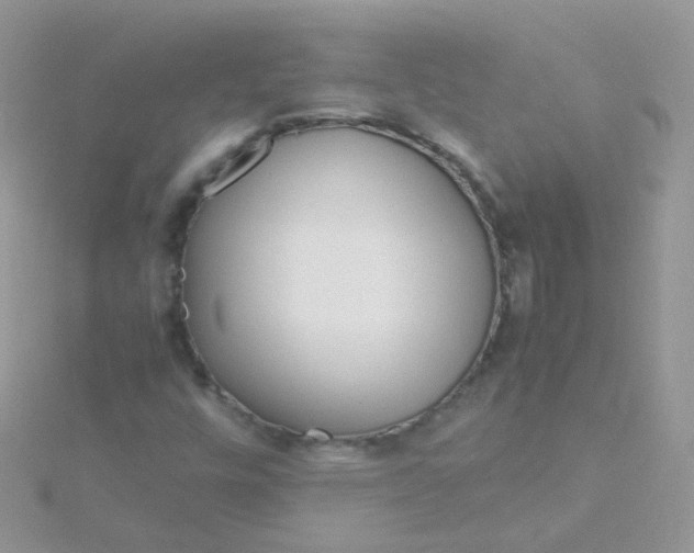X0000115661448200911251659