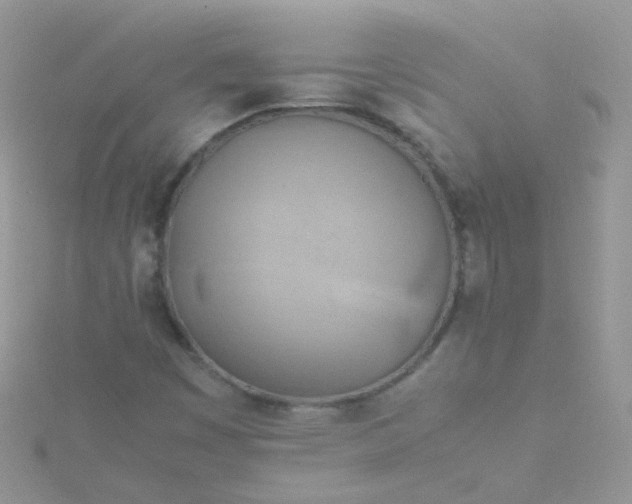 X0000115661449200911251659