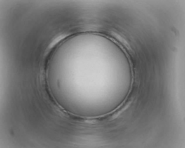 X0000115661453200911251659
