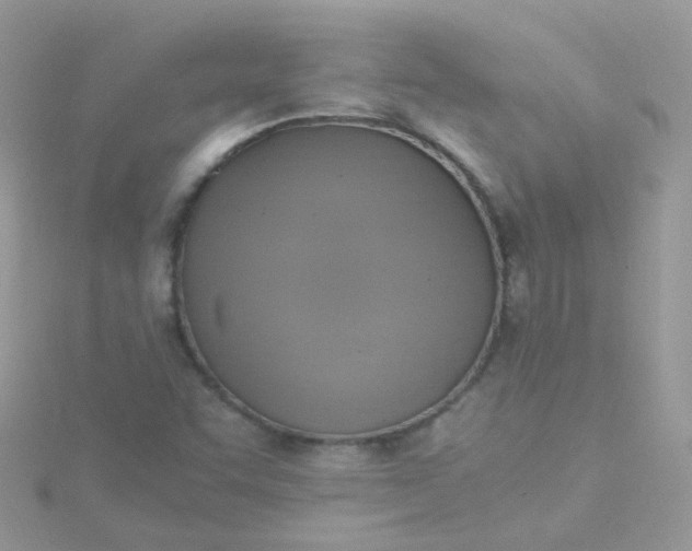 X0000115661455200911251659