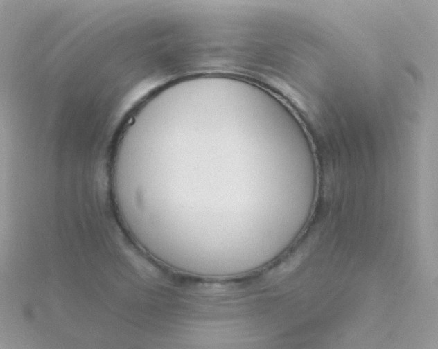 X0000115661458200911251659