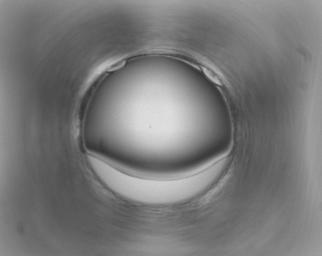 X0000115661461200911251659