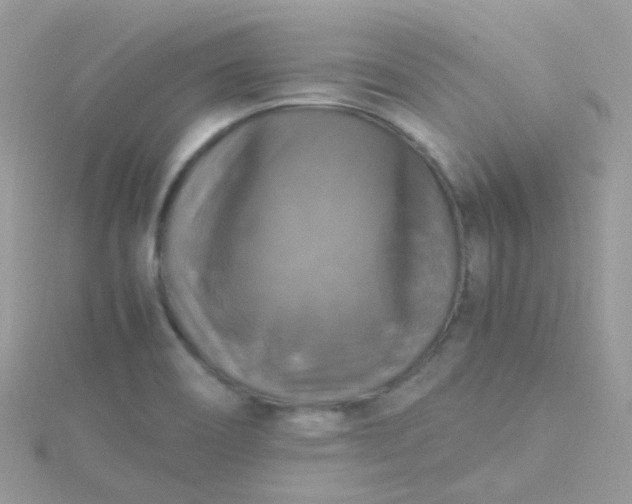 X0000115661466200911251659