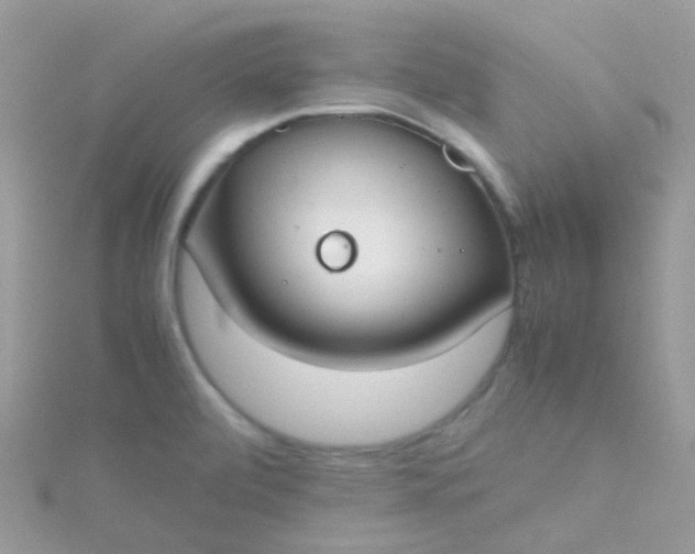 X0000115661472200911251659